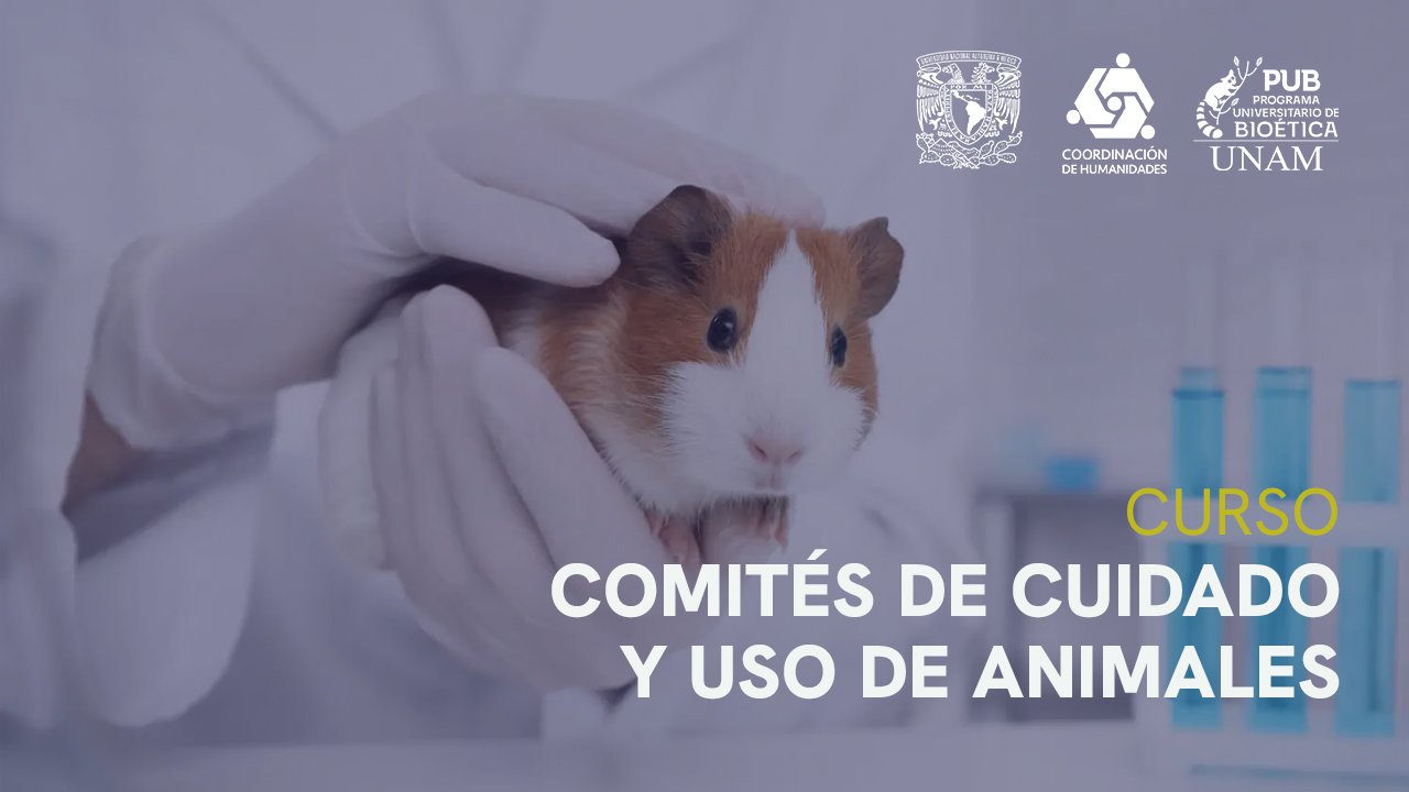 Comités de cuidado y uso de los animales